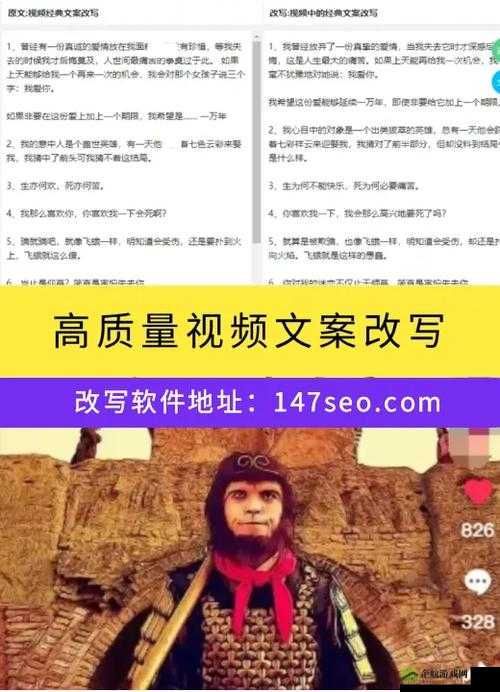 SEO 短视频网页入口网站推广之实用技巧