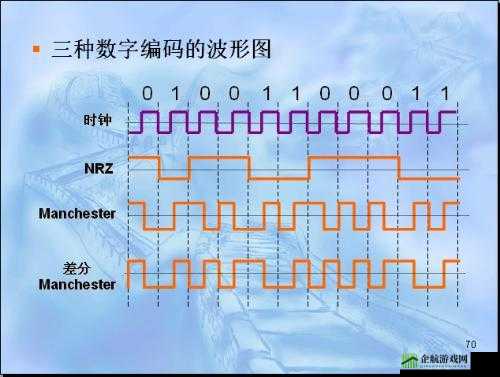 W 无区码一码二码三码：重要的编码信息