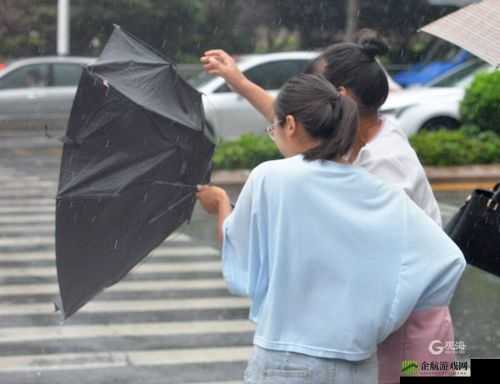 JUL532 外勤突遇大雨：风雨中的坚守