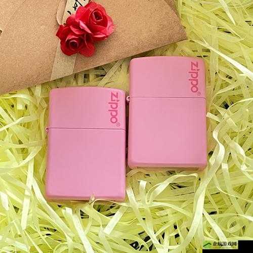 Ysl 热门蜜桃色 Zippo ：魅力无限的时尚单品