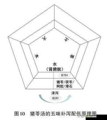 坐着轮流提双腿能起到什么效：解析与作用