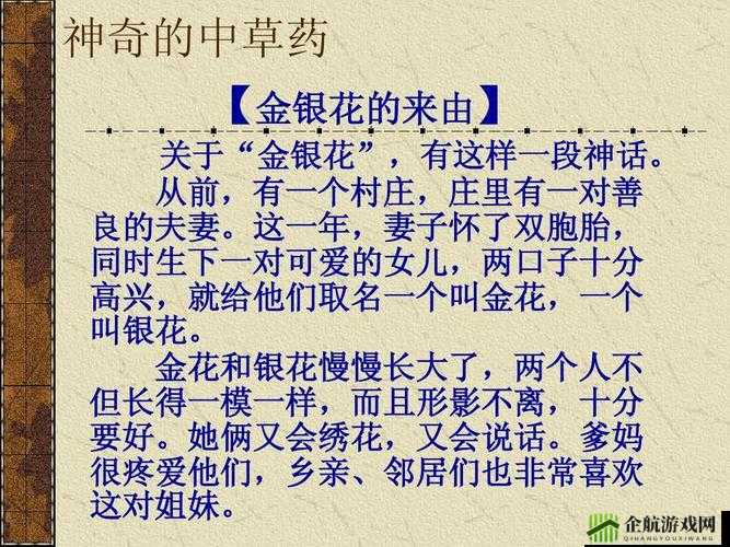 小尾巴 txt 金银花原文：小尾巴的故事