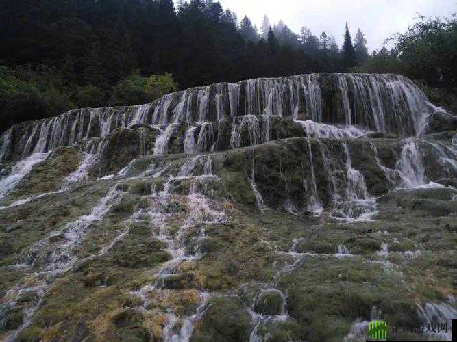 黄龙直捣溪水潺潺：自然奇景之美