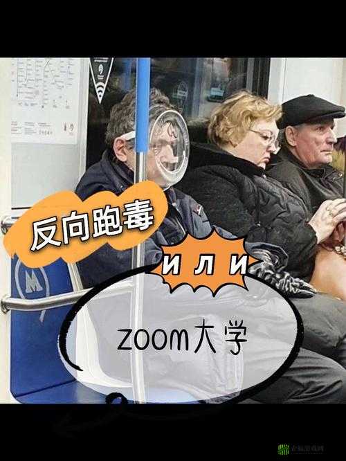 Zoom 与人类 Zoom 的区别探讨